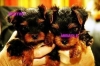 extremely-cute-teacup-yorkie-puppies-to-lovinbg-homes